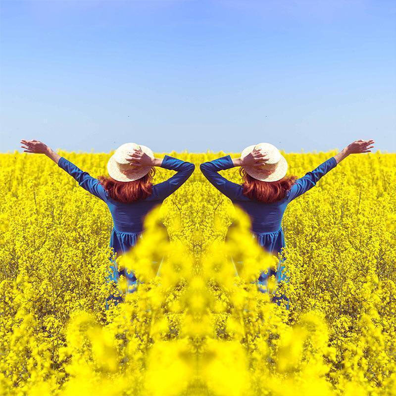 Mirror Effect Lens - Capture Stunning Reflections Instantly