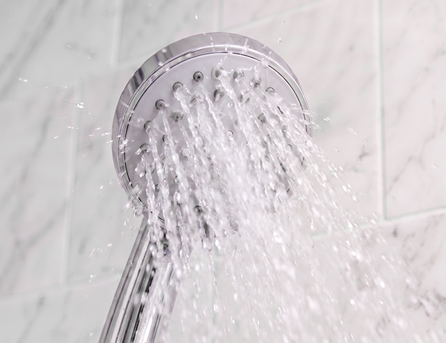 Shower head after cleaning