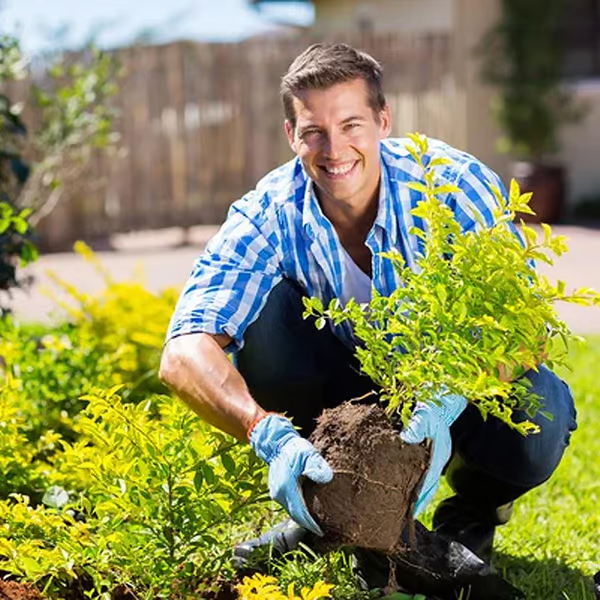 🏅 Gardener‘s Choice-Soil Pro Activator 💪 Stronger Roots