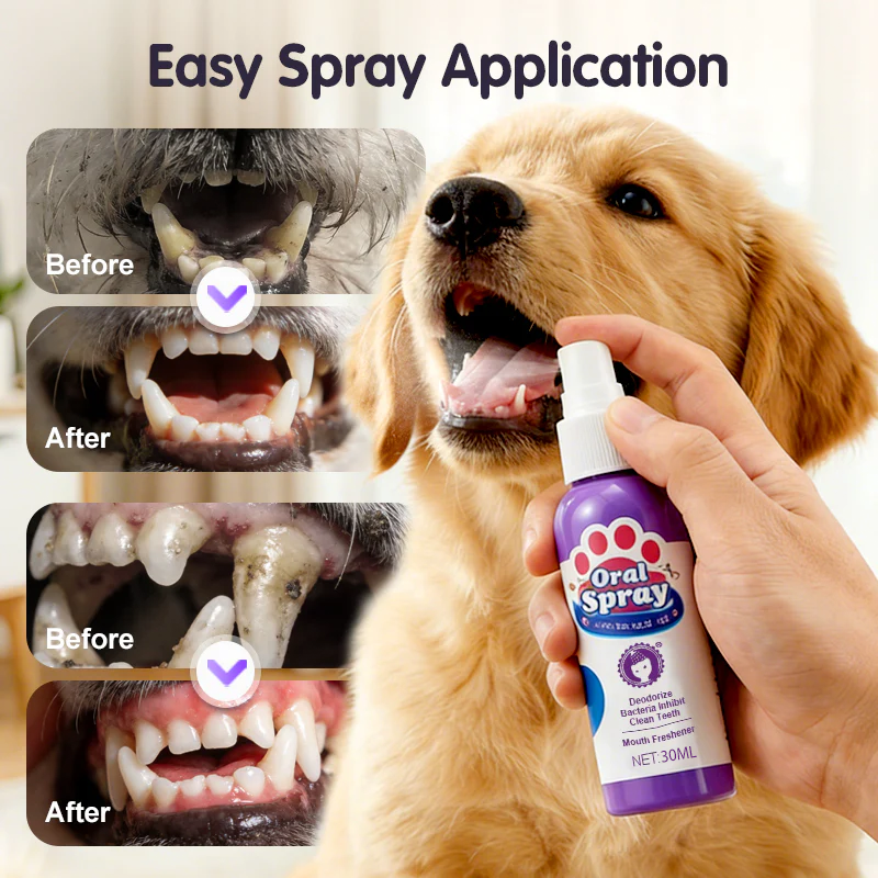 🔥Limited Time Buy 2 Get 1 Free🔥Teeth Cleaning Spray for Pets