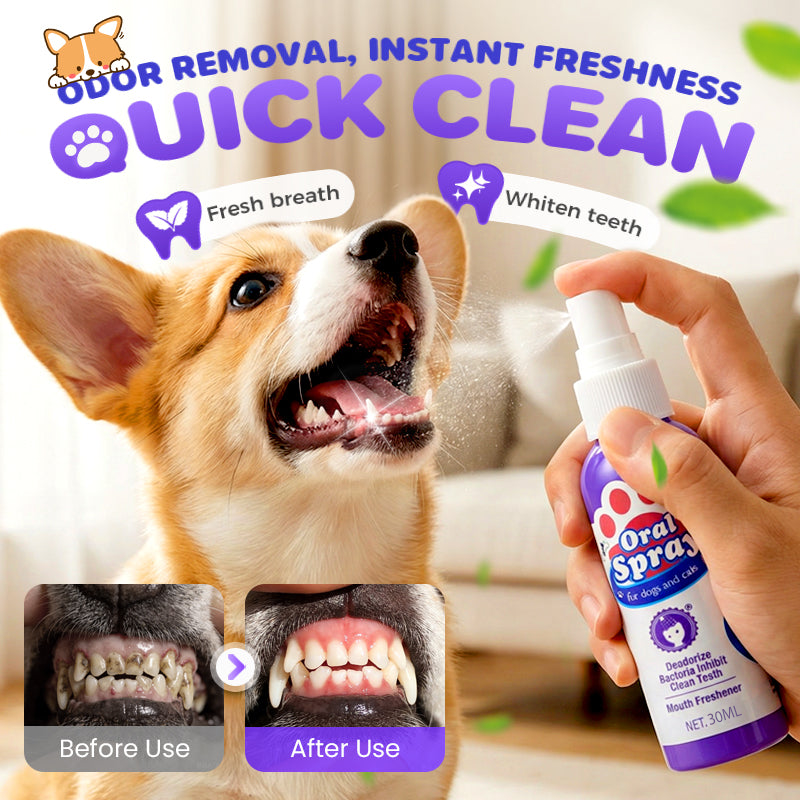 🔥Limited Time Buy 2 Get 1 Free🔥Teeth Cleaning Spray for Pets