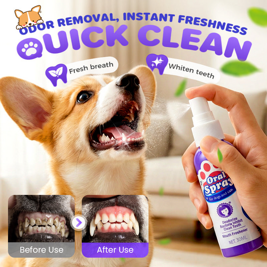 🔥Limited Time Buy 2 Get 1 Free🔥Teeth Cleaning Spray for Pets