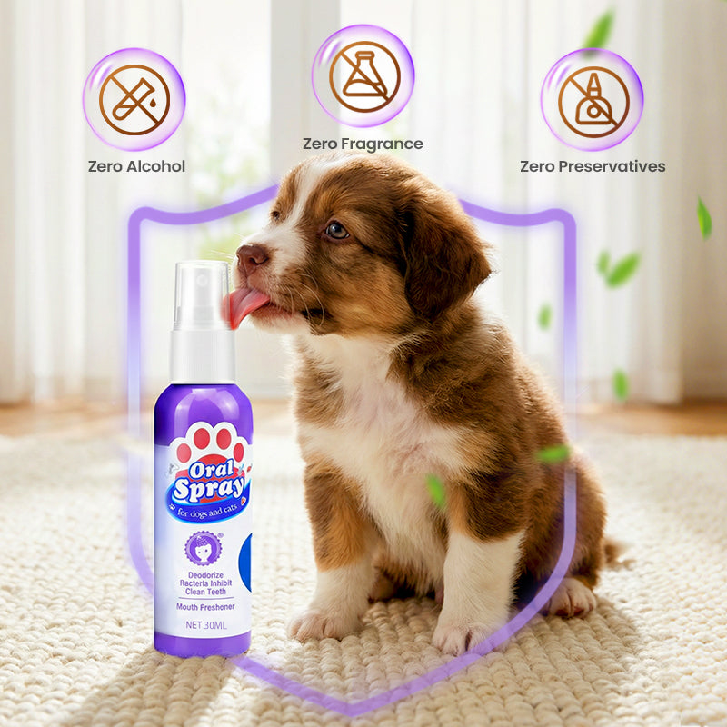🔥Limited Time Buy 2 Get 1 Free🔥Teeth Cleaning Spray for Pets