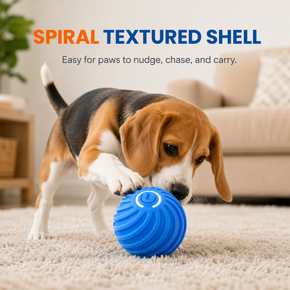 🐶🐾Smart Interactive Bouncing Ball