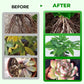 🎁 Hot Sale🔥All Purpose Concentrated Liquid Fertilizer