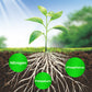 🎁 Hot Sale🔥All Purpose Concentrated Liquid Fertilizer