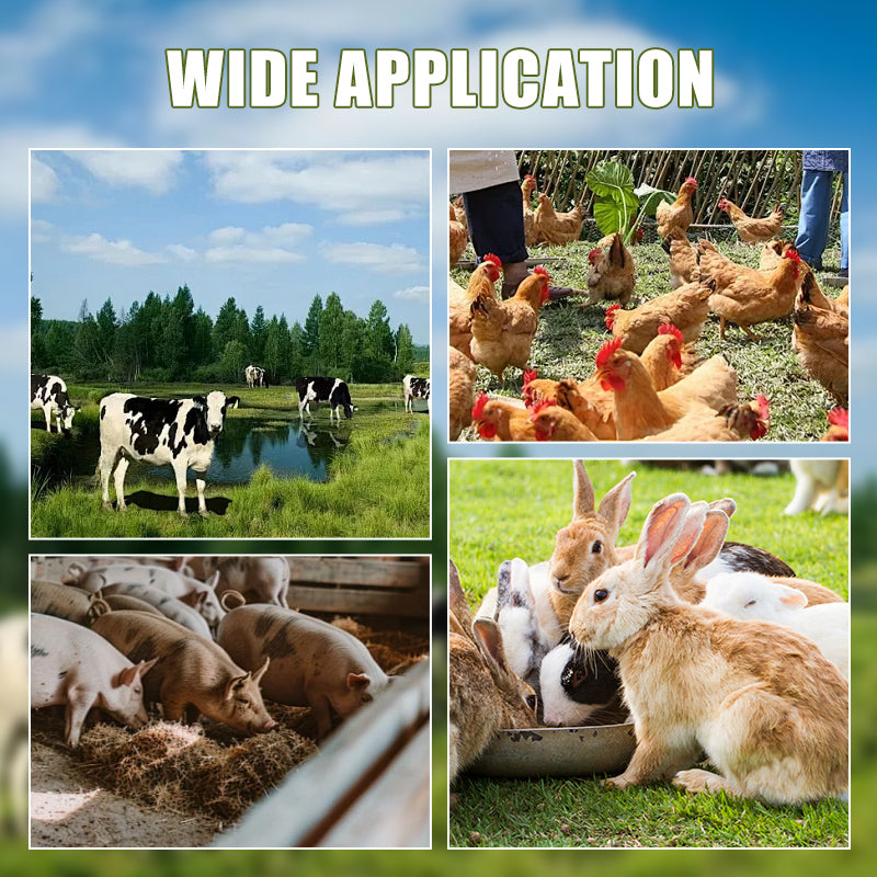 🎁Household Farming Grass Shredder Knife Blades🎁