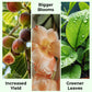 🎁 Hot Sale🔥All Purpose Concentrated Liquid Fertilizer
