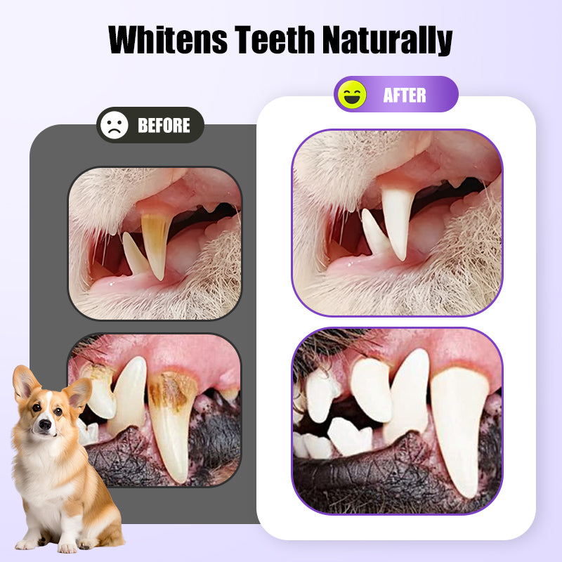 🥇BUY 1 GET 1 FREE🔥Pet Oral Repair Gel Toothbrush 🐱🐶