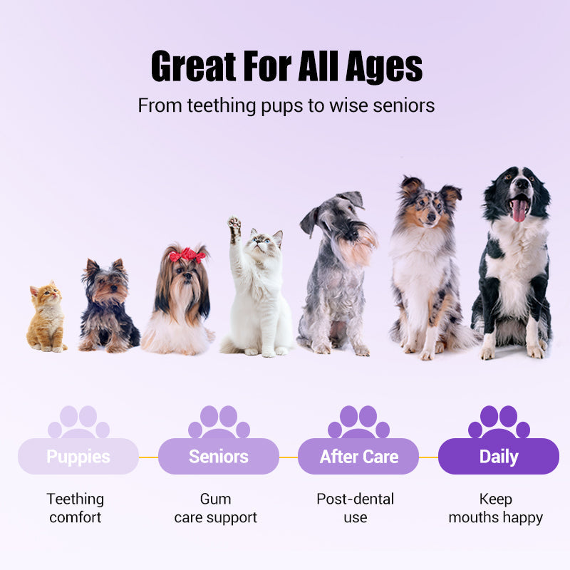 🥇BUY 1 GET 1 FREE🔥Pet Oral Repair Gel Toothbrush 🐱🐶