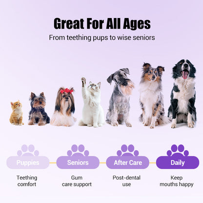 🥇BUY 1 GET 1 FREE🔥Pet Oral Repair Gel Toothbrush 🐱🐶