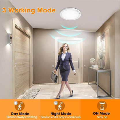 Magnetic Motion Sensor Ceiling Light with Remote