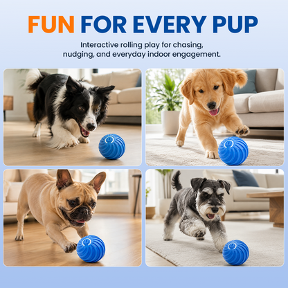 🐶🐾Smart Interactive Bouncing Ball