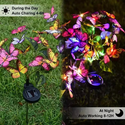 🦋Breathe Life into Your Garden Day & Night. Solar Butterfly Lights with Dual Modes – Automatic Magic. ✨💐