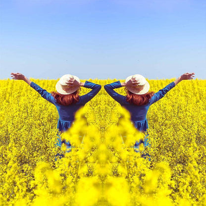 Mirror Effect Lens - Capture Stunning Reflections Instantly