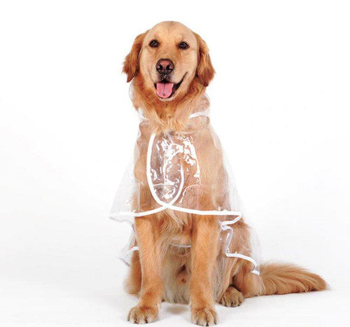 Transparent Raincoat For Dog