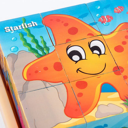 9pcs Six-sided Picture 3D Wooden Puzzle Kit