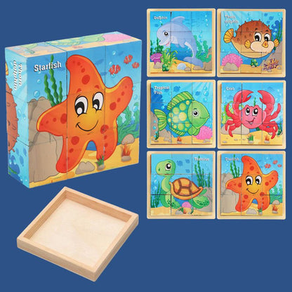 9pcs Six-sided Picture 3D Wooden Puzzle Kit
