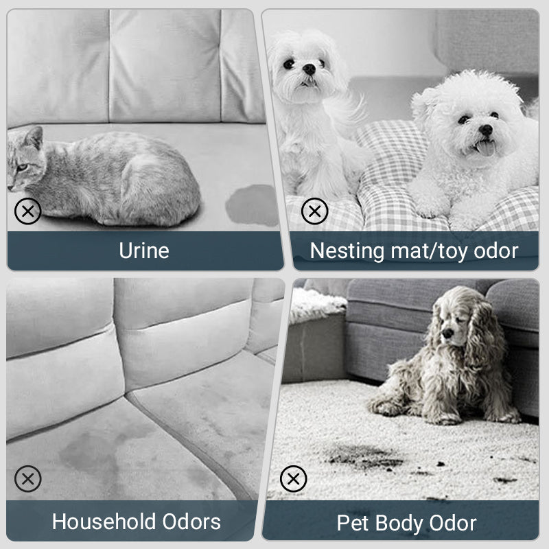 🐱🐶Pet Odor Eliminator Spray🍃