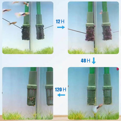 Effective Algae Control for Aquarium