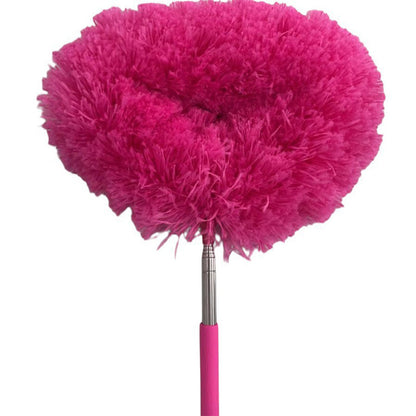 💞Ceiling Fan & Household Dust Buster