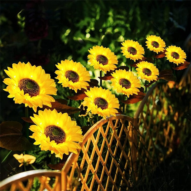 ☀️Sunflower Solar Lights – Auto On/Off, 14H Glow, IP65 Waterproof