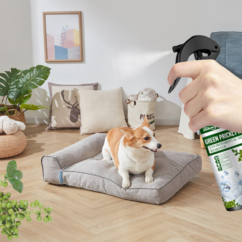 🔥Powerful Mite Remover Spray