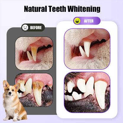 Fresh Breath Pet Oral Care Mousse