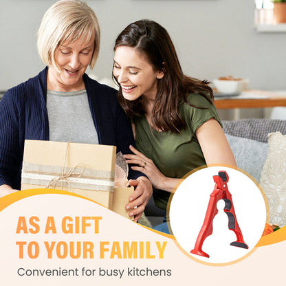 💥3-in-1 Silicone Bowl and Plate Clamp💥