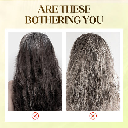 🌿 BUY 2 GET 1 FREE! ✨ Plant Extract Hair Dye for Gray Hair - Natural Formula with Nourishing Botanicals for Damage-Free Color & Shine 💆‍♀️💫