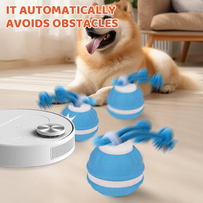 🏆 Hot Sale - 60% OFF ✨Smart Interactive Rolling Pet Ball with Bird Sounds