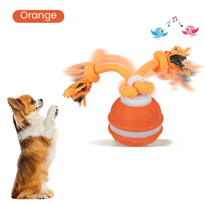 🏆 Hot Sale - 60% OFF ✨Smart Interactive Rolling Pet Ball with Bird Sounds
