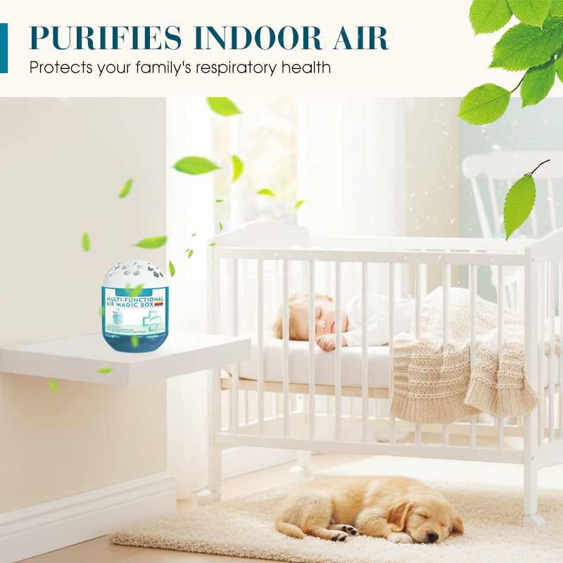 🏠🌿Indoor Air Purification Dust Removal Magic Box