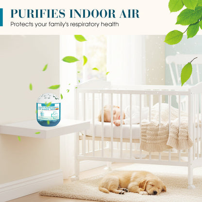🏠🌿Indoor Air Purification Dust Removal Magic Box