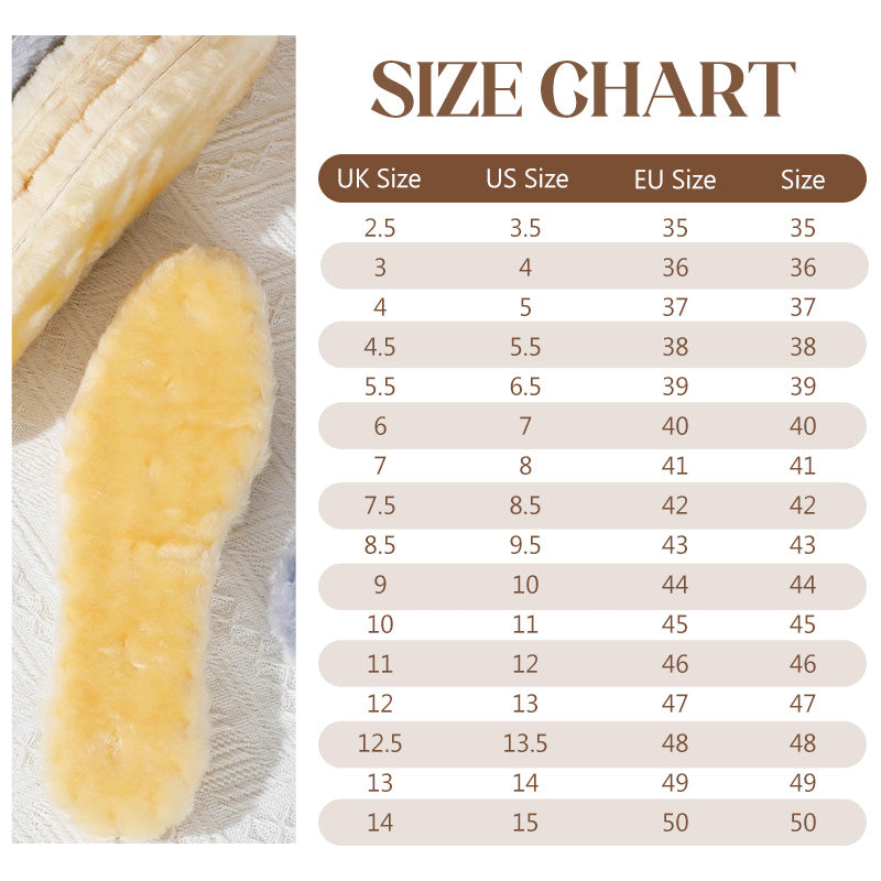 Winter Warmth Thermal Shoe Insoles