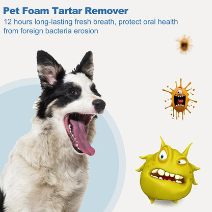 🐾Pet Oral Care Foaming Tartar Remover