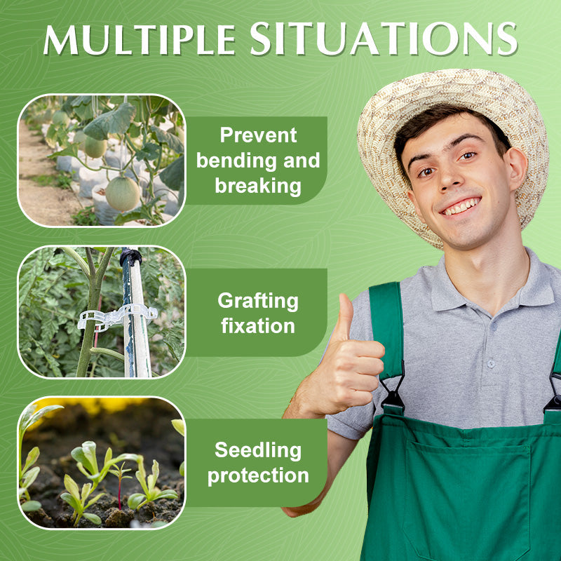 🌱Clips For Climbing Plants – Plastic tomato ties and plant fasteners