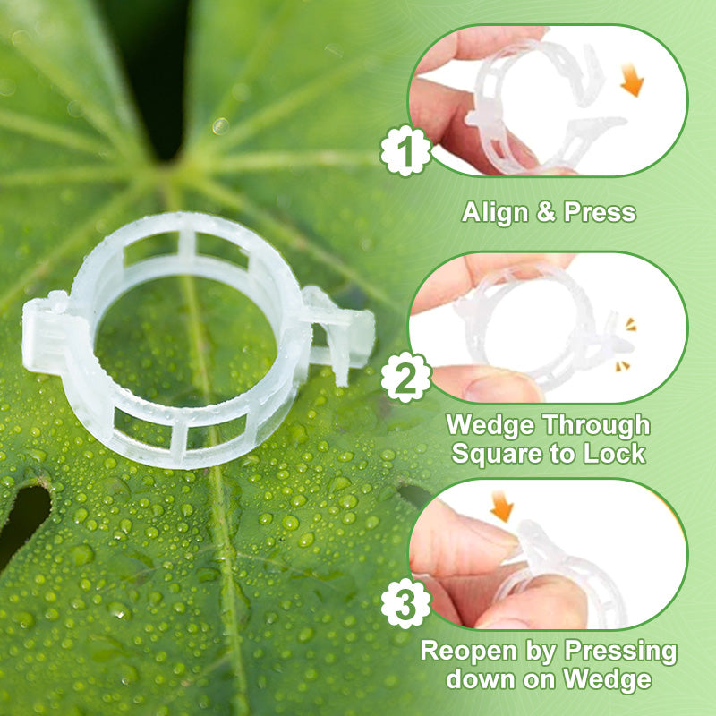 🌱Clips For Climbing Plants – Plastic tomato ties and plant fasteners