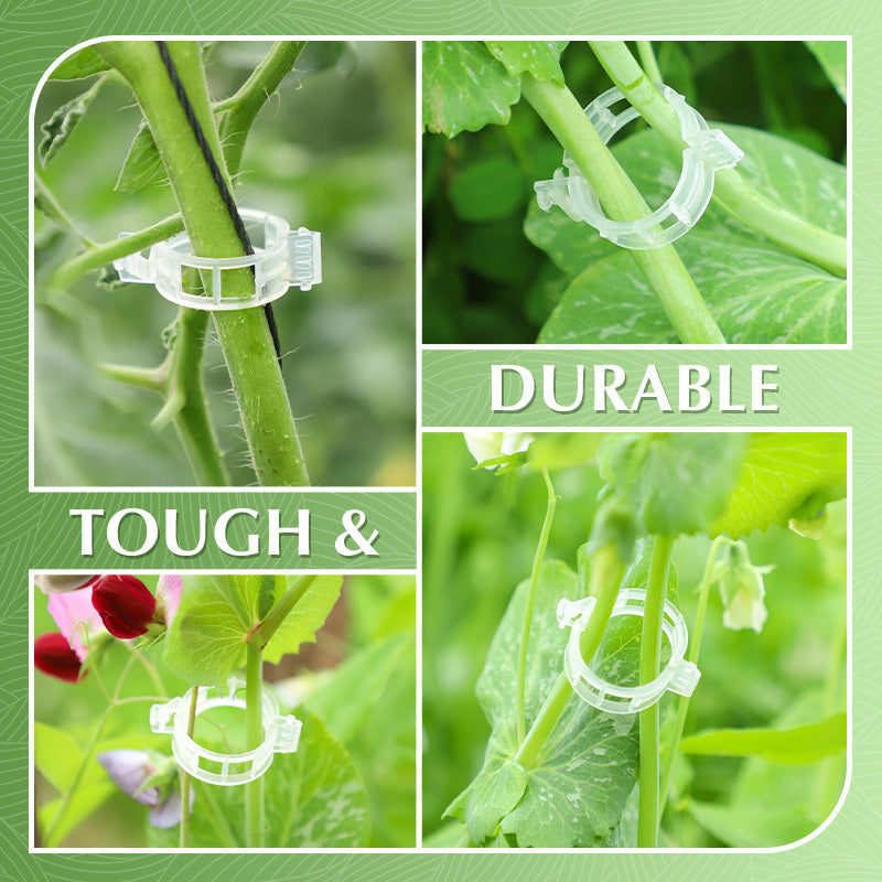 🌱Clips For Climbing Plants – Plastic tomato ties and plant fasteners