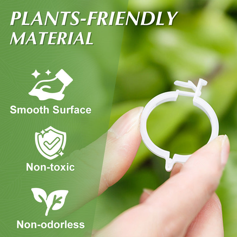 🌱Clips For Climbing Plants – Plastic tomato ties and plant fasteners