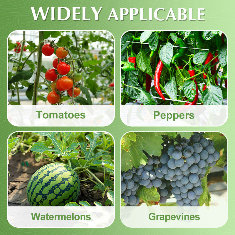 🌱Clips For Climbing Plants – Plastic tomato ties and plant fasteners
