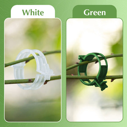 🌱Clips For Climbing Plants – Plastic tomato ties and plant fasteners