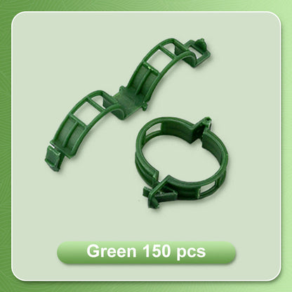🌱Clips For Climbing Plants – Plastic tomato ties and plant fasteners
