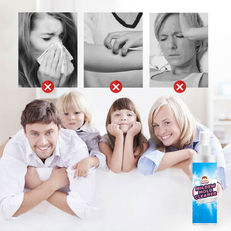 Mildew mold cleaner