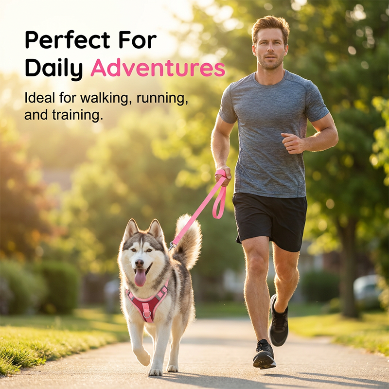 Adjustable Padded Dog Vest Harness with Leash