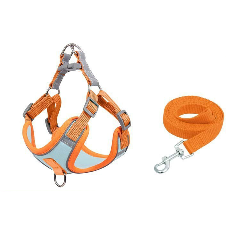 Adjustable Padded Dog Vest Harness with Leash
