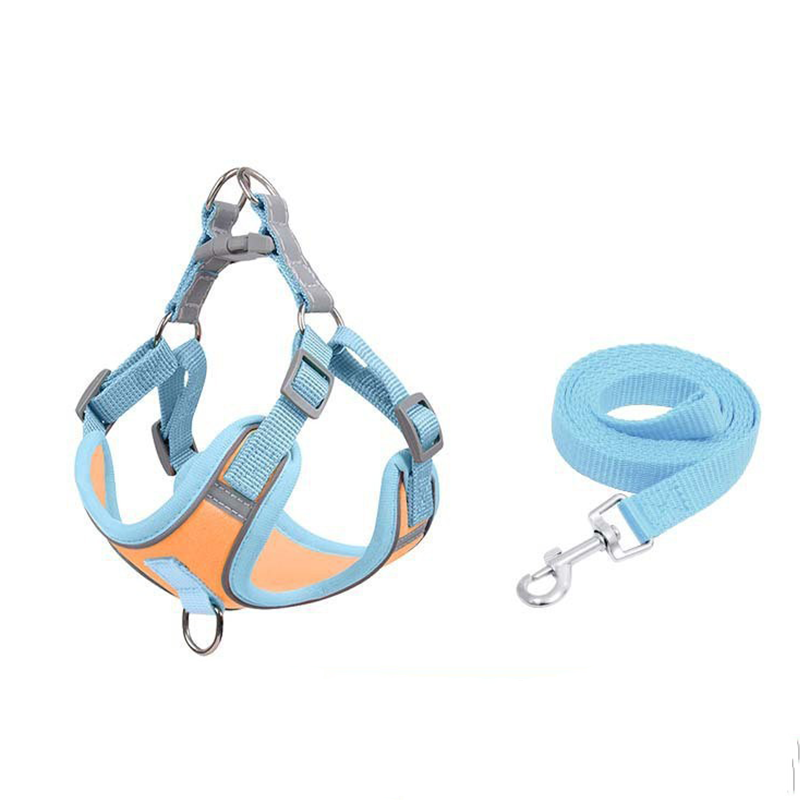 Adjustable Padded Dog Vest Harness with Leash