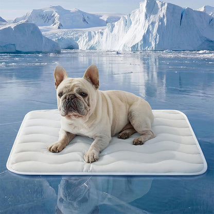 ❄️[Summer Sale] Pet Cooling Ice Silk Mat – Summer Cooling Pet Bed Pad for Dogs and Cats, Breathable Washable Sleeping Cushion for Indoor and Outdoor Use, Lightweight Cooling Crate and Sofa Pet Mat