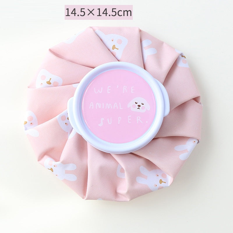 🧊Reusable Ice Pack Bag