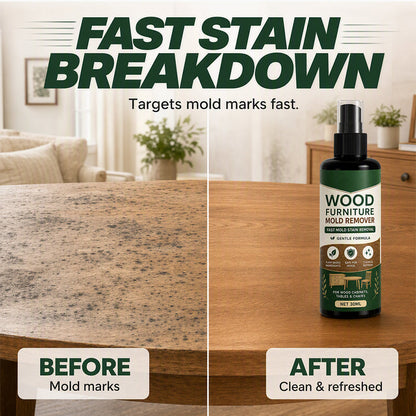 Multi-Surface Wood Furniture Mold Remover Spray
